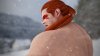 wolfinfalcompressed.jpg